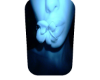 § bloomin