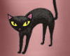 Black cat tight pink Tee