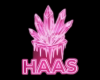 T. BLUSA HAAS
