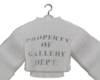 𝓥. Property of GDEPT