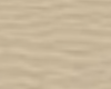 Sand Floor1