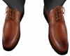D;Brown Shoes
