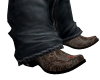 ~Cowboy Boots