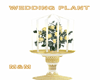 M&M-WENDDING PLANT