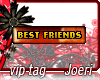 j| Best Friends Always