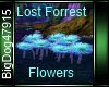 [BD] LostForrestFlowers