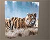 Tiger on canvas 3