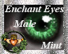 ~QI~ Enchant Eyes M M