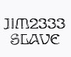 Jim2333 Slave