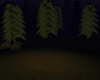 (K) summer night