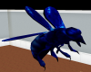 Blue Stinging Wasp
