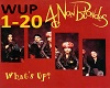 what's Up- 4 Non Blondes