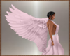 Princess Fairy Wings
