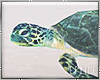 🤍Underwater Turtle