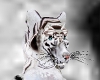 White Tiger Head 4 You