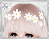 Drv: Daizy flower crown
