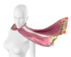 iva sunset scarf