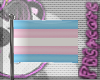*PBC* Transgender Flag