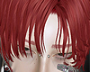 𝔁. Anzo red
