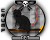 [C] Halloween Rat