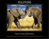 Elephants-Solutions