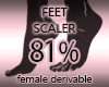 Foot Scale Size 81%