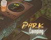 SM/Picnic Table Camping