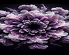 Purple Flower Loft