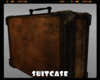 *Suitcase