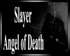 Slayer - Angel of death 
