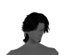 𝑅𝑅 Sieghart