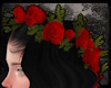 +Romantic Hair Roses