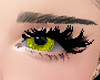 GOLD EYES