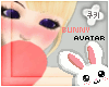 [Co] Bunny l Avatar