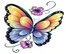 Raaid