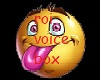 roi voice box 