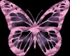 [Q]Butterfly