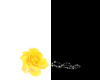 ~Yellow rose (left)