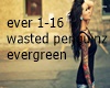 wasted peng- Evergreen