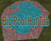 BIg Pool/Hot Tub