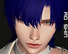 侍. Disorder Hair V2