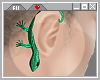 ☪ Ear Gecko: Ir
