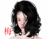梅 Aniya black