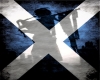 MsD  Scotland Flag