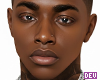 DRV^DAVID HEAD