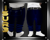 lSl Dark Blue Pants