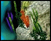 Aquatic Coral