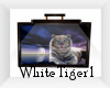 White Tiger Picture 1