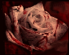 Blood Rose Loft