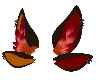 Falleena ears 1